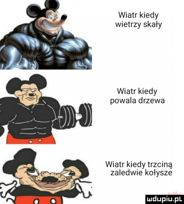 wiatr kiedy wietrzy skały wiatr kiedy powala drzewa wiatr kiedy trzciną zaledwie kołysze ludu iu. l