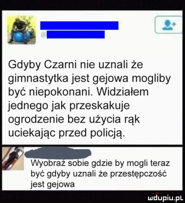 gdyby czarni nie uznali że gimnastytka jest gajowa mogliby być niepokonani. widziałem jednego jak przeskakuje ogrodzenie bez użycia rąk uciekając przed policją. wyobraz sobie gdzie by mogli teraz być gdyby uznali że przestępczość jest gajowa