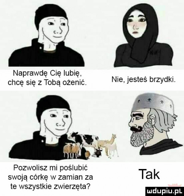 aq. naprawdę cię lubię. chcę się z tobą ożenić. nie jesteś brzydki. pozwolisz mi posiubić swoją córkę w zamian za tak. abakankami   te wszystkie zwierzęta