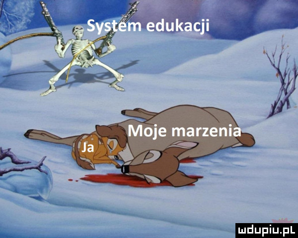 upiu pl