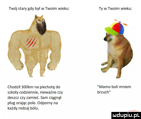 twój stary gdy bw w twoim wieku ty w twoim wieku chodlil aookm na piechotę do mamo buli mniam sikały codziennie nieważne ay brzuch dosza ctv zamieć. sam ciągnąc pług mając pole. odparnv na każdy rodzaj bólu