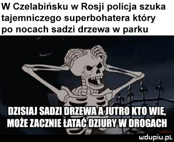 w czelabińsku w rosji policja szuka tajemniczego superbohatera który po nocach sadzi drzewa w parku film     saum lin zwm a lunm k wie. muz zacznie iata lulu wc w drugie ludupiu. pl
