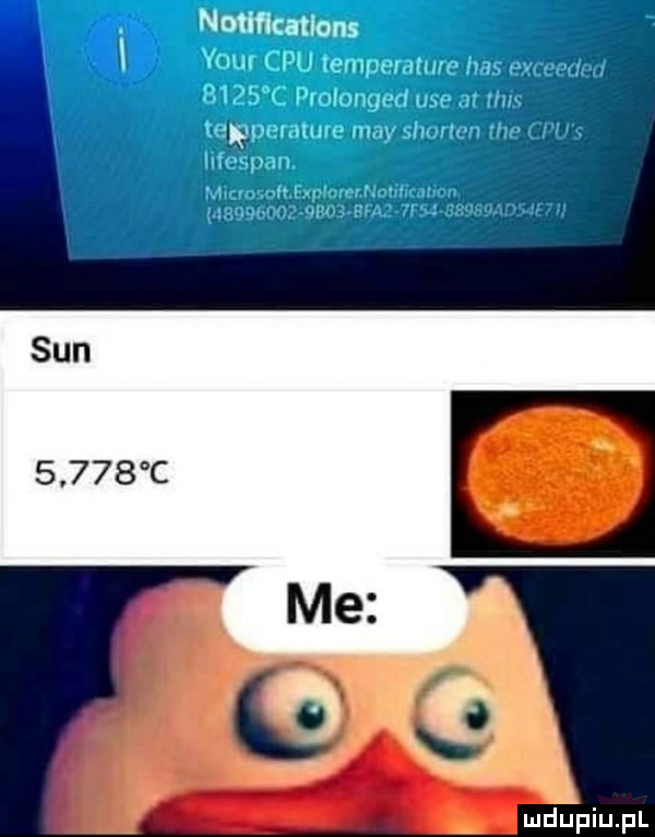 elz  m man. sun       c