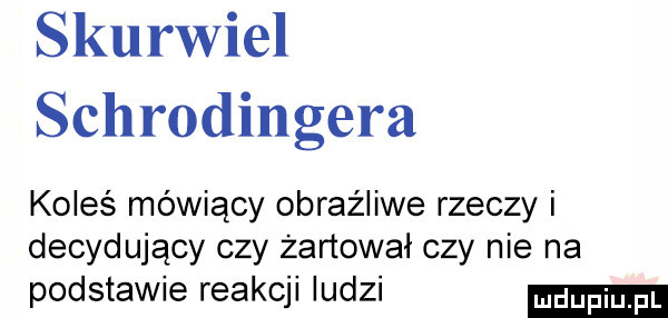 skurwiel schrodingera koleś mówiący obraźliwe rzeczy i decydujący czy żartował czy nie na podstawie reakcji ludzi