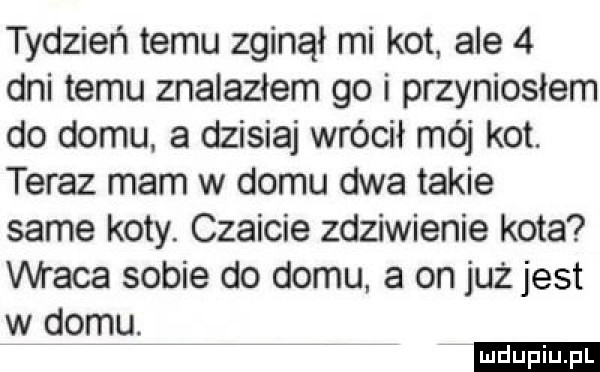 tydzień temu zginął mi kot ale   dni temu znalazłem go i przyniosłem do domu a dzisiaj wrócił mój kot. teraz mam w domu dwa takie same koty. czaicie zdziwienie kota wraca sobie do domu a on już jest w domu