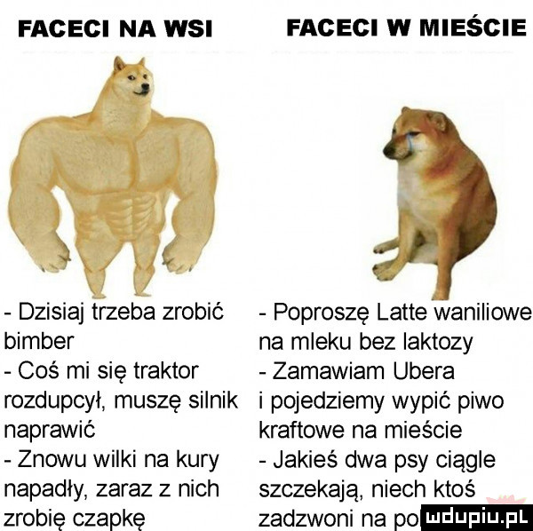faceci na wsi faceci w mieście w dzisiaj trzeba zrobić poproszę latte waniliowe bimber na mleku bez laktozy coś mi się traktor zamawiam umera rozdupcył muszę silnik i pojedziemy wypić piwo naprawić kraftowe na mieście znowu wilki na kury jakieś dwa psy ciągle napadły zaraz z nich szczekają niech ktoś zrobię czapkę zadzwoni na po