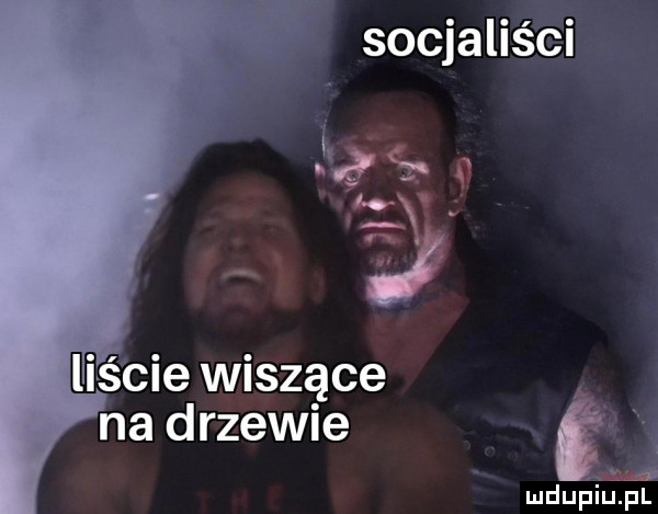 j socjaliści i ę liście wiszące na drzewie