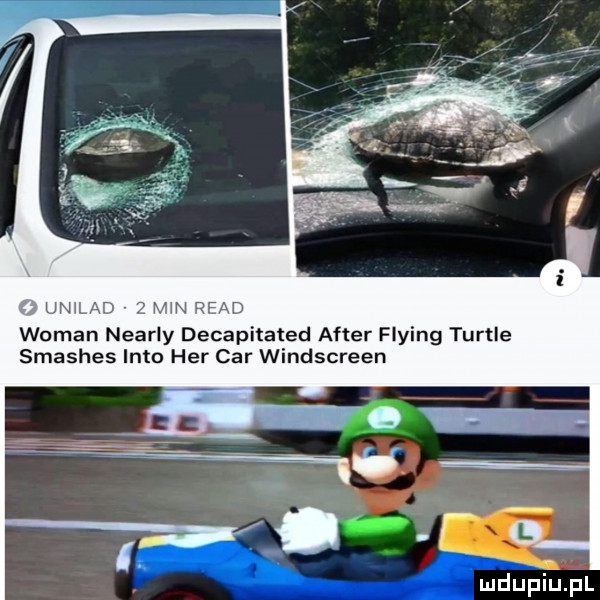 jmlad e wiman nearly decapitated after flying turyle smashes iato her car windscreen mduplu pl