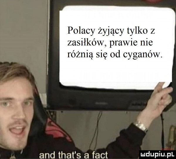 polacy żyjący tylko z zasiłków prawie nie różnią się od cyganów. a. and trat s a fajt mduniu pl