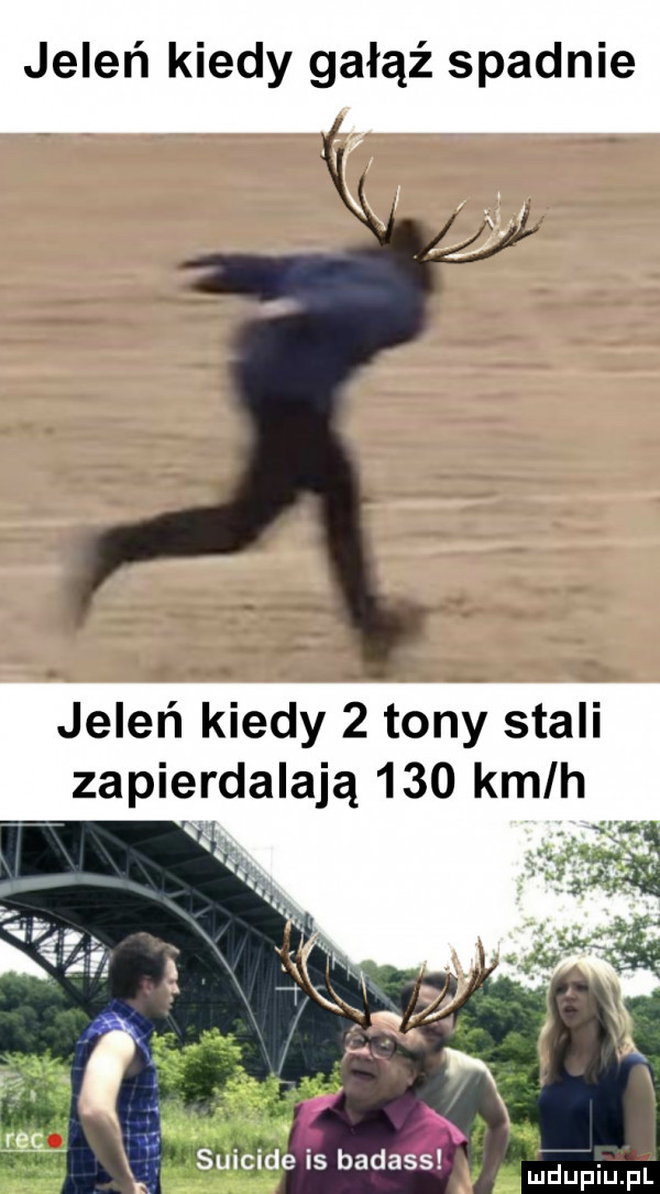 jeleń kiedy gałąź spadnie jeleń kiedy   tony stali zapierdalają     kmlh n rag suicide is badass. mduplu pl