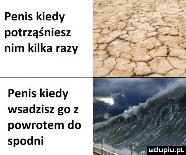 penis kiedy potrząśniesz nim kilka razy penis kiedy wsadzisz go z powrotem do spodni ludupiupl