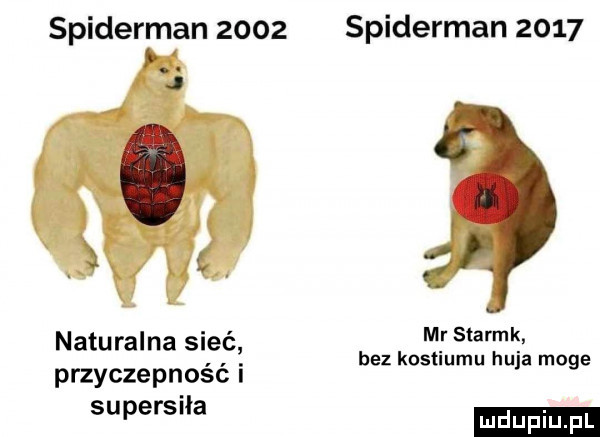 spiderman      spiderman      naturalna sieć m r starak. bez kostiumu huja moge przyczepnosc i supersila