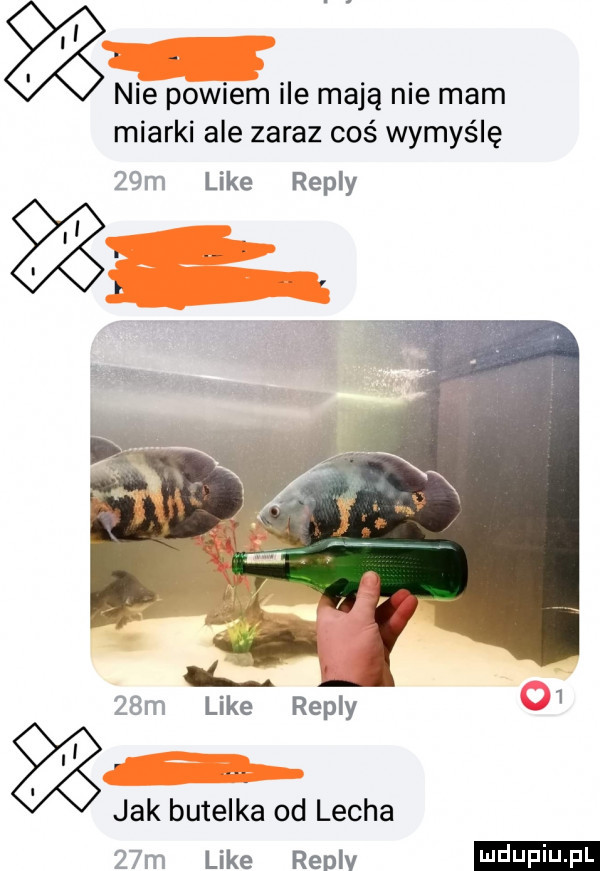 nie powiem ile mają nie mam miarki ale zaraz coś wymyślę   m like repry like repry jak butelka od lecha   m like replv