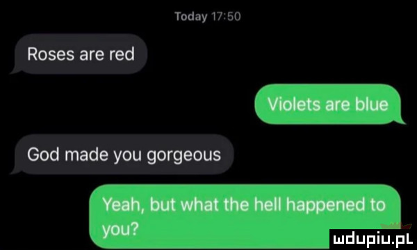 toddy roses are red gad made y-u gorgeous