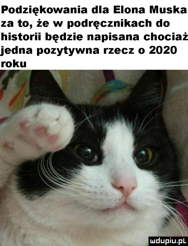 podziękowania dla egona muska za to że w podręcznikach do historii będzie napisana ciocia eona pozytywna rzecz o