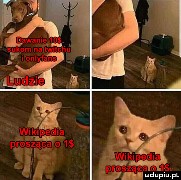 w i d i jal