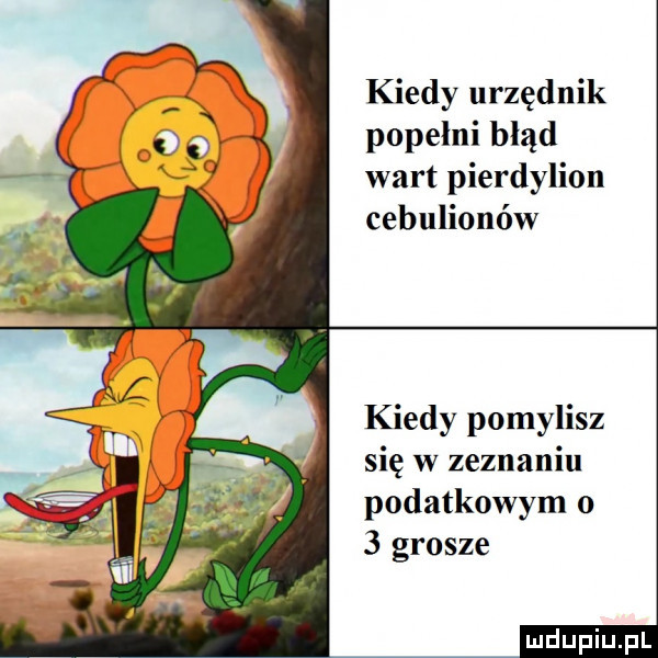 kiedy urzędnik popełni błąd wart pierdylion cebulionów kiedy pomylisz się w zeznaniu podatkowym o   grosze