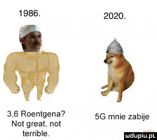 roentgena  g mnie zabije not great not terrible