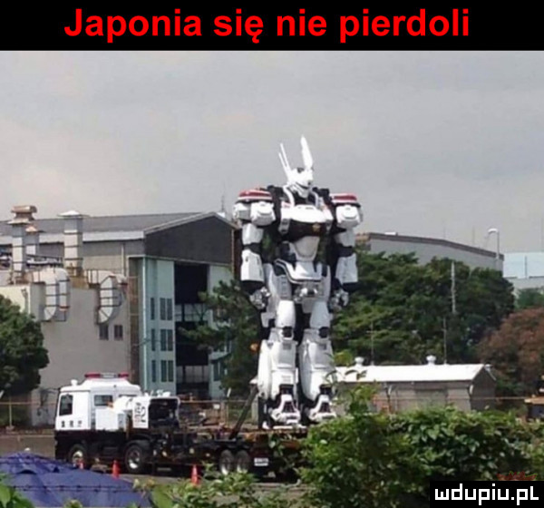 japonia się nie pierdoli