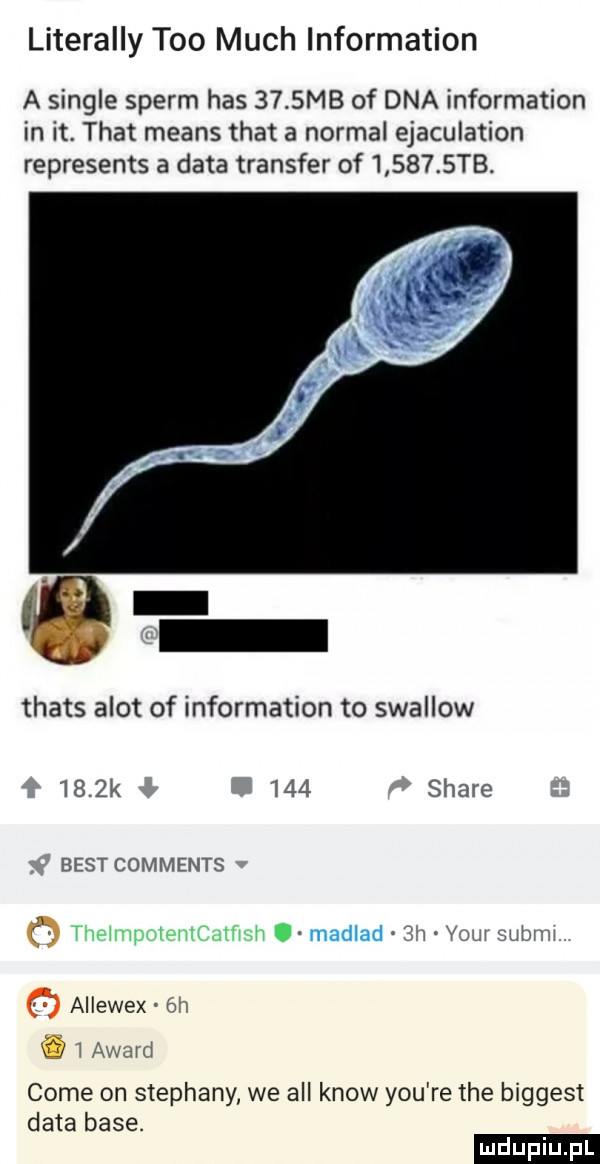 literalny tao much information a single sperm has     mb of dna information in it trat means trat a normal ejaculation represents a data transfer of        tb thats azot of information to swallow     k     stare best comments or w mm ho    yam uam aiiewex  h   award cole on stephany we all know y-u re tee biggest data base