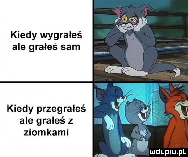 kiedy wygrałeś ale grałeś sam kiedy przegrałeś ale grałeś z ziomkami