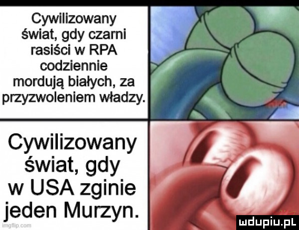 cywilizowany świat gdy czarni rasiści w rpa codziennie mordują białych za przyzwoleniem władzy. cywilizowany świat gdy w usa zginie jeden murzyn