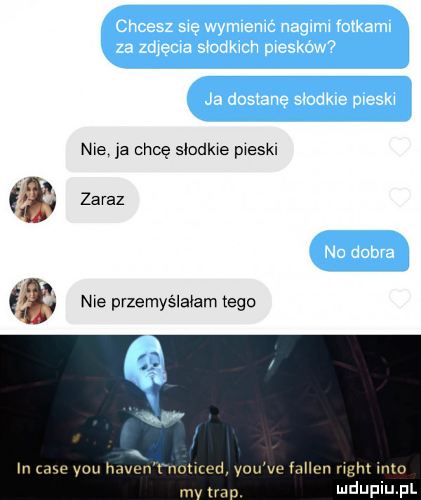 nie ja chcę słodkie pieski     zaraz nie przemyślałam tego in case y-u haden t noticed y-u ve fallen right iato m tra