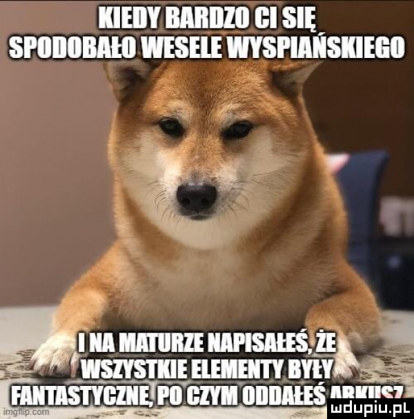 iieiiy muza   się srununnm mru msmﬂsllm a    lin mm missis  e i a wszvsmmmnmv i lmmfs ń ćiiiflin m nnnmś