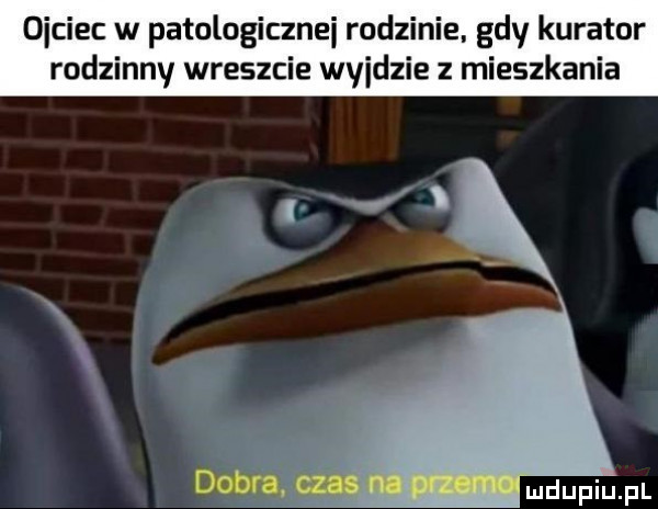 obciec w patologicznej rodzinie gdy kurator rodzinny wreszcie wyjdzie z mieszkania