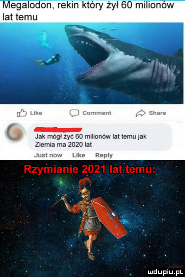 megalodon rekin który żył    melio ów lat temu jak mógł zyć    mnllonów lat temu jak zlemla ma      la mmnnw lnkp rl phy