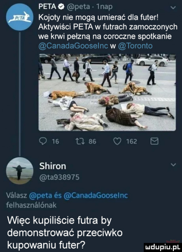 pekao peta lnap v kojoty nie mogą umierać dla futer aktywiści peta w futrach zamoczonych we krwi pełzną na coroczne spotkanie canadagooseinc w toronto sharon v ta       vélasz peta és canadagooselnc felhasznélénak vwęc kupiliście futra by demonstrować przeciwko kupowaniu futer