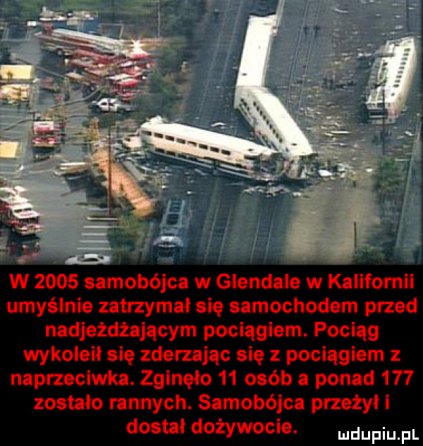 w      samobójca w glendale w kallfornli umyślnie zatrzymal się samochodem przed nadjeżdżającym pociągiem. pociąg wykoleił się zderzając się z pociągiem z naprzeciwka. zginęło    osób a ponad     zostało rannych. samobójca przeżył i dostał dożywocie