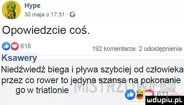 hyle   macao     o opowiedzcie coś. oo         komentarze   udostępnienia ksawery niedźwiedź biega i pływa szybciej od człowieka przez co rower to jedyna szansa na pokonanie go w triationle a eee