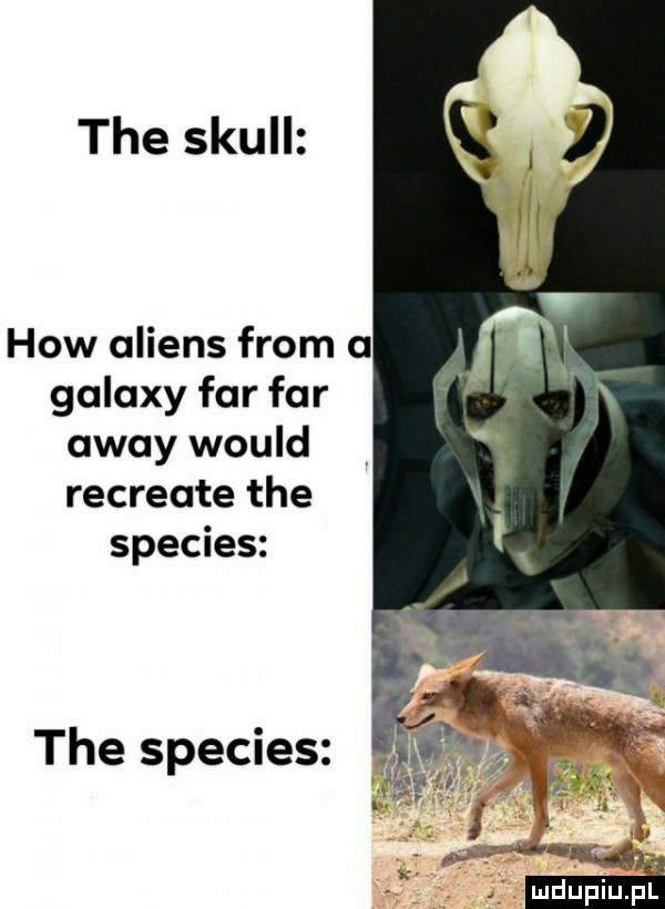theskum hiw amiens from a galaxy far far away would recreate tee species thespedes
