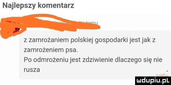 najlepszy komentarz   zamrażaniem polskiej gospodarki jestjak z zamrożeniem psa po odmrożeniu jest zdziwienie dlaczego się nie rusza