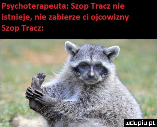 psychoterapeuta szop tracz nie istnieje nie zabierze ci ojcowizny szop tracz ludu iu. l