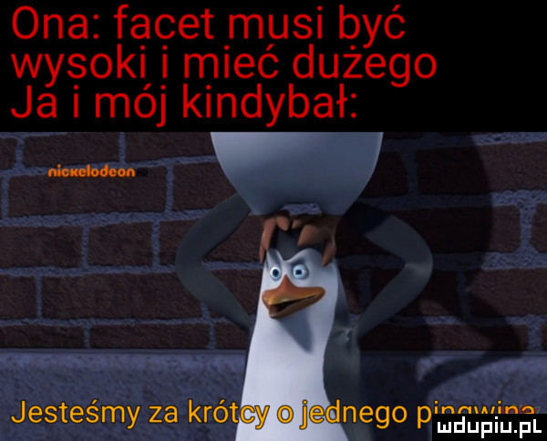 ona facet musi być wysoki i miec dużego ja i mój kindybał moon. jesteśmy za kro nago pełhśjtel