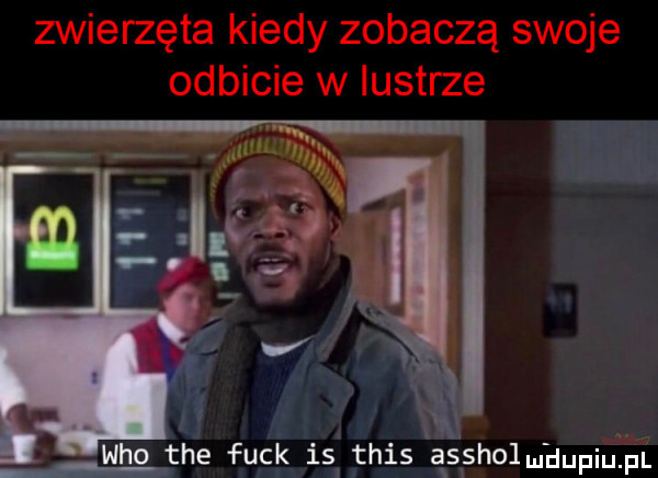 f who tee fac k is flis a s sio. udupiu pl