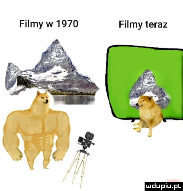 filmy w      filmy teraz