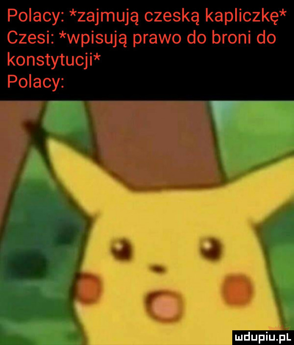 polacy zajmują czeską kapliczkę czesi wpisują prawo do broni do konstytucji polacy q