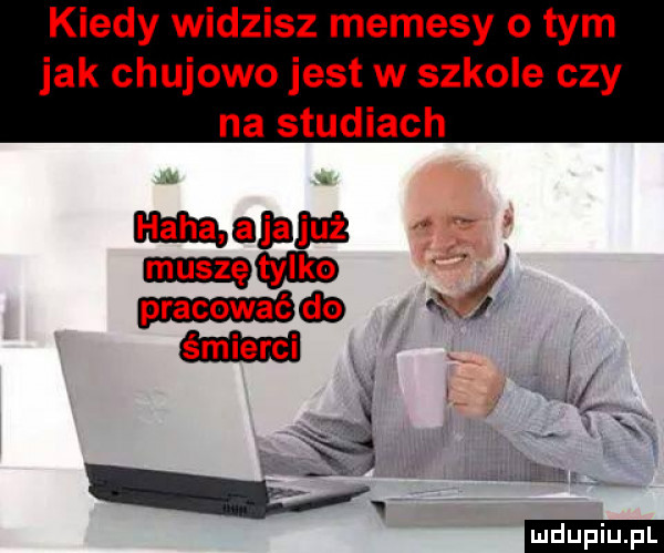 kiedy widzisz memesy o tym jak chujowo jest w szkole czy na studiach magma j mm ib. kl   mm  . animus