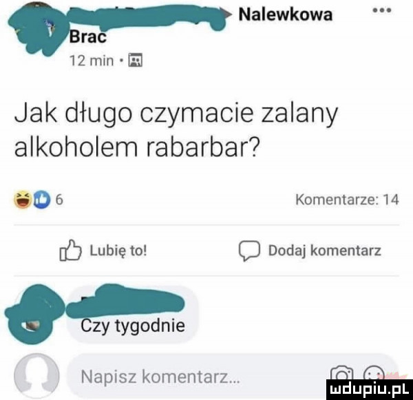 nalewkowa ra mmm e jak długo czyhacie zalany alkoholem rabarbar o   komentarze    erb lubię to o dodaj komentarz zy tygodnie napisz komentarz. o