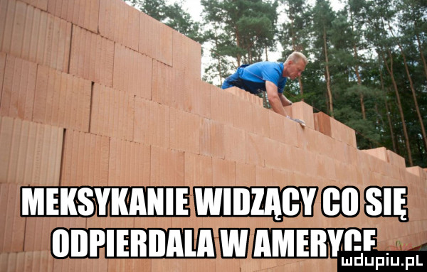 meksykanie wibzaby i się iiiipiebiiala w amebyief