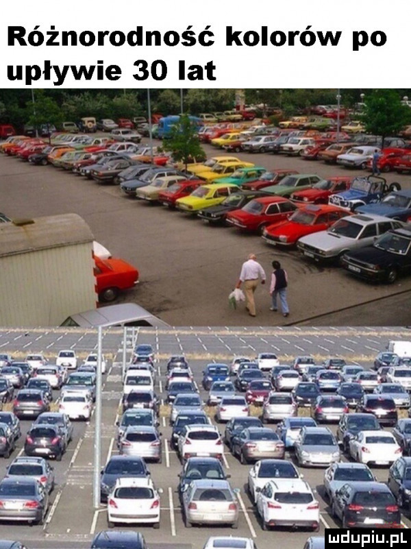 różnorodność kolorów po upływie    lat mdupiu. pl