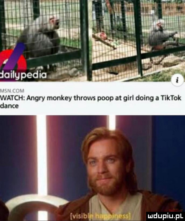a i a wwa j i. lailgpedia anch ankry monkey throws prop at gill doing a tiktok dance