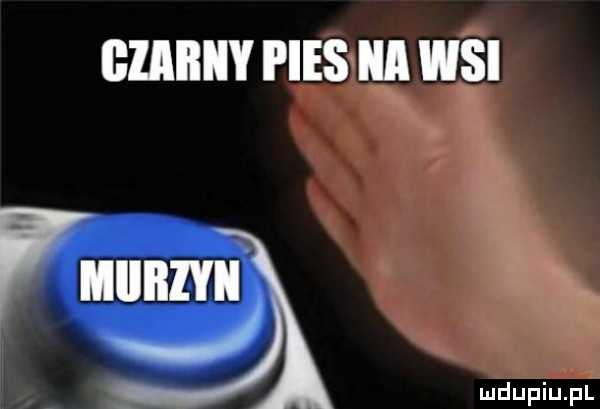 giaiiiiy pies a wsi