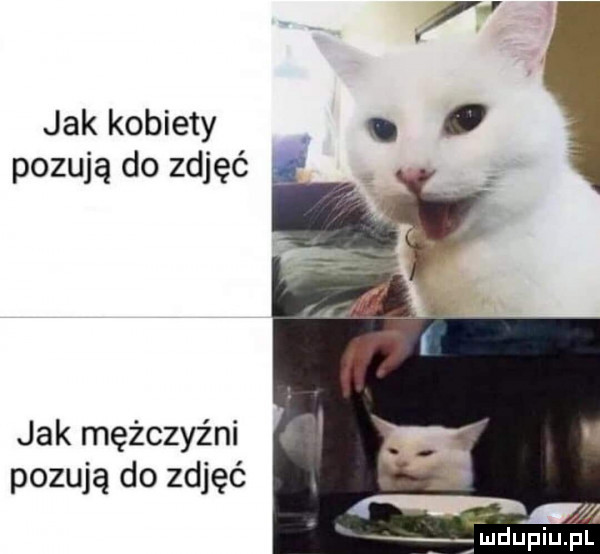 jak kobiety pozują do zdjęć jak mężczyźni pozują do zdjęć mdupiupl