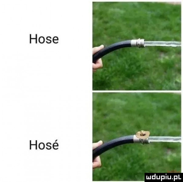 hoje hoje