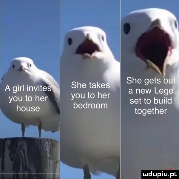 a gill invite y-u to her house sie take y-u to her bedroom set to build together