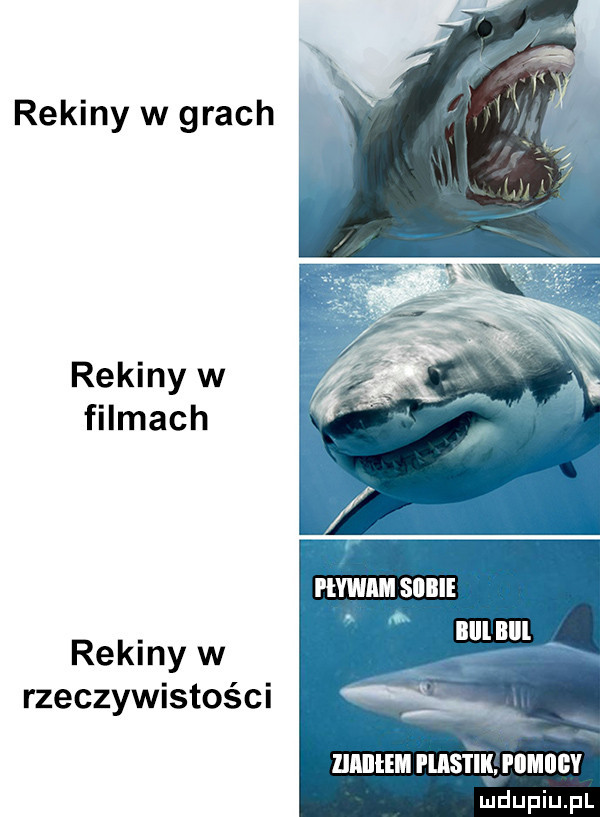 rekiny w grach rekiny w filmach rekiny w rzeczywistości a lllllłem pas i ik. piimiiiw